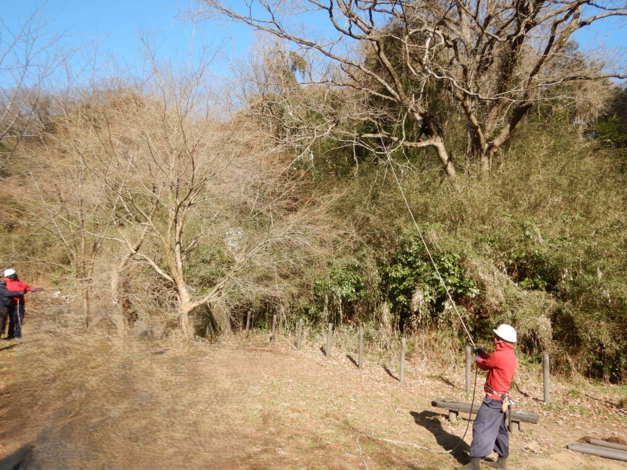 株式会社音柳園